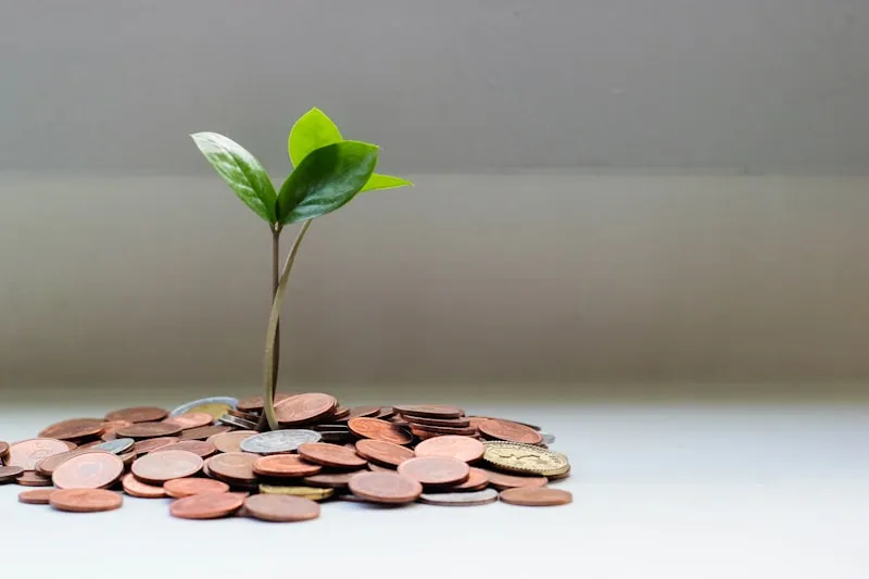 Calculator and financial documents for calculating Airbnb co-host fees and costs